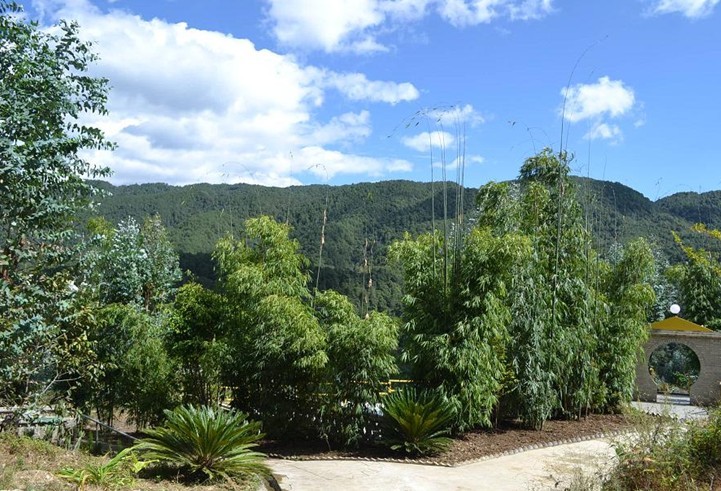 观景台建成庆祝活动雪峰唱的花儿词