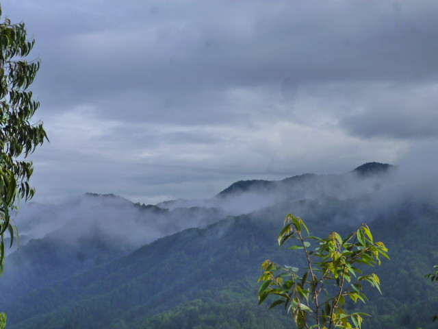 神奇的四分院/竹菡草