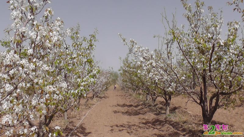 喀泰尔——迅速崛起的世外桃源 /雪峰